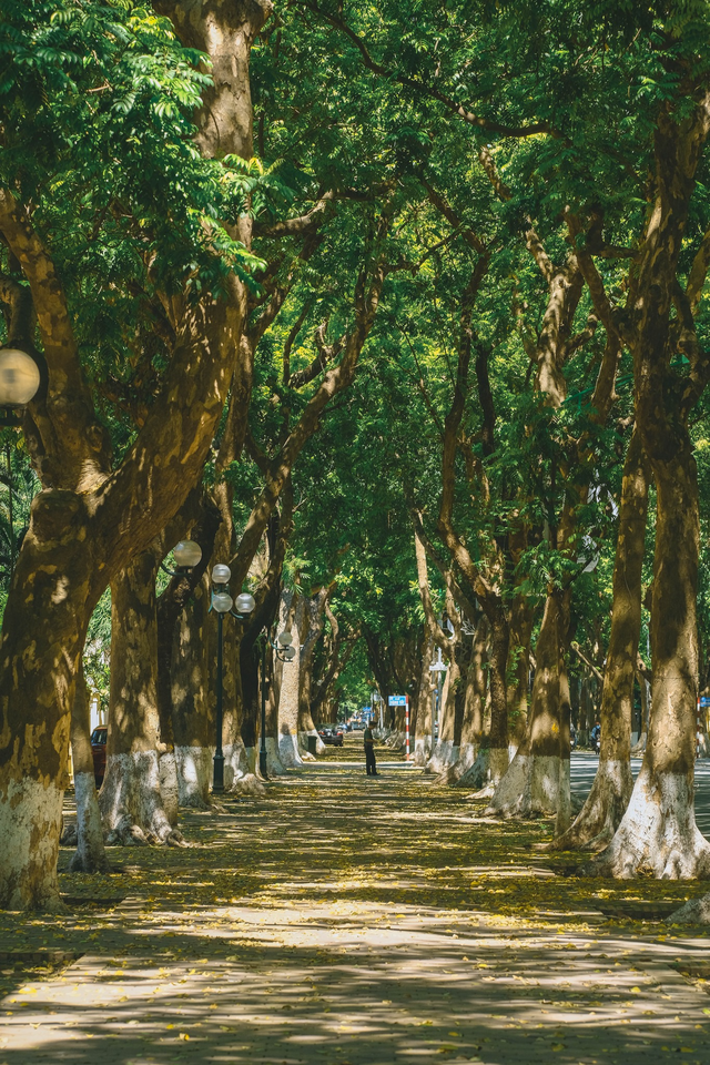 Những khoảnh khắc đẹp đến nao lòng của trời thu Hà Nội khiến ai cũng phải ngẩn ngơ - Ảnh 3.