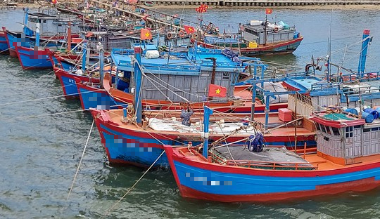 Truy bắt một tàu cá sau tin báo khẩn của 9 ngư dân - Ảnh 1.