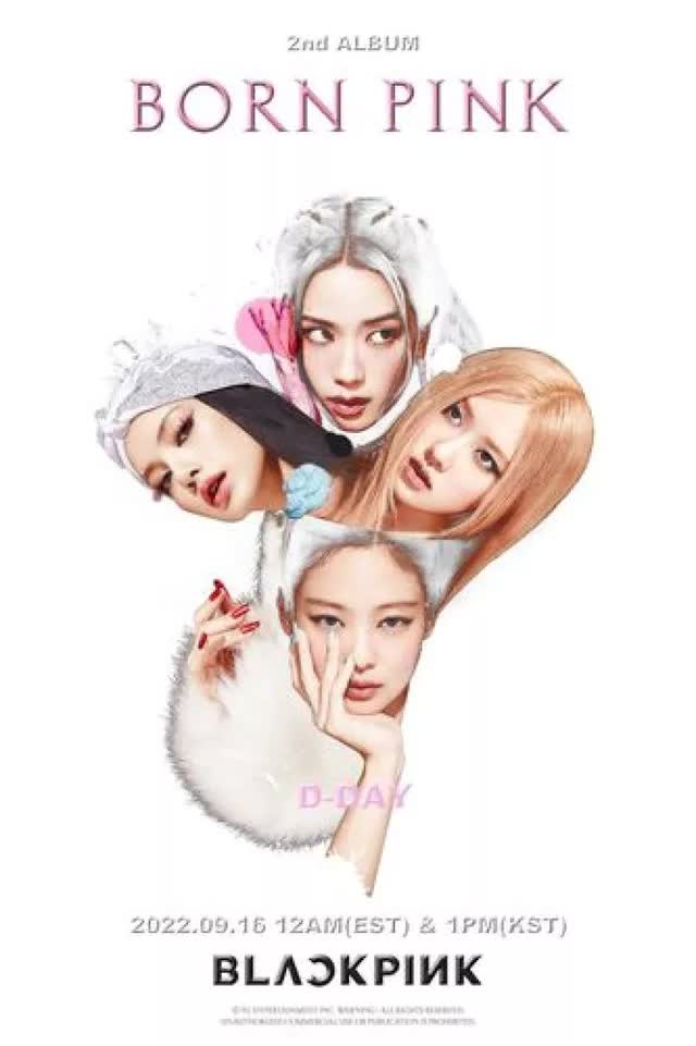 Album mới của BLACKPINK vượt 1 triệu bản trong ngày đầu tiên mở bán - Ảnh 1.