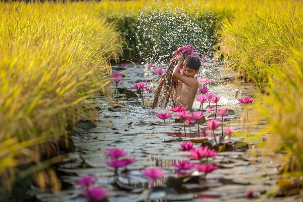 Về An Giang mùa nước nổi, lênh đênh giữa rừng Tràm Trà Sư ăn lẩu cá linh độc nhất vô nhị’ - Ảnh 1.