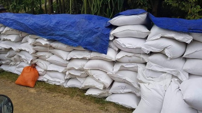 Một trưởng thôn ăn chặn gần 5 tấn gạo hỗ trợ cho dân để đem nấu rượu, cho em dâu - Ảnh 1.