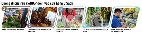 Điều tra về rau sạch dỏm: Hô biến rau chợ thành rau 3 sạch! - Ảnh 3.