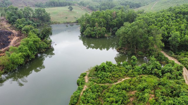 Chàng trai bỏ phố về giữa rừng dựng nhà tre để ở: Cô đơn nhưng yên bình, nuôi mơ ước lớn - Ảnh 4.