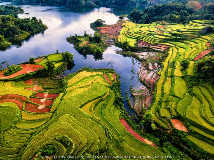 Coordinates viewing beautiful and peaceful terraced fields in Tuyen Quang - Photo 2.