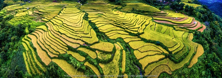 Coordinates viewing beautiful and peaceful terraced fields in Tuyen Quang - Photo 1.