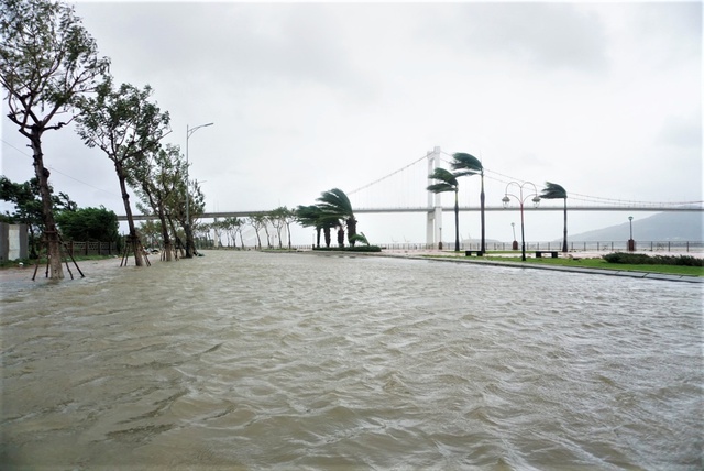 Hình ảnh thiệt hại ban đầu do bão Noru gây ra tại Đà Nẵng - Ảnh 3.