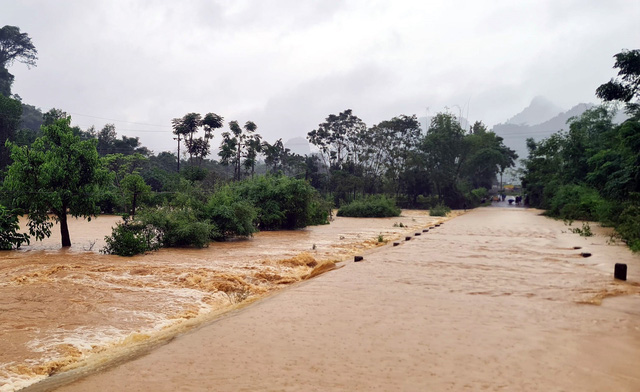 Nghệ An: 3 người chết và mất tích do mưa sau bão số 4 - Ảnh 3.