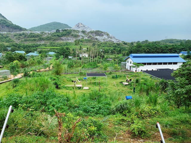 Khám phá địa điểm du lịch thú vị dành cho người yêu thiên nhiên và động vật hoang dã tại Ninh Bình - Ảnh 2.