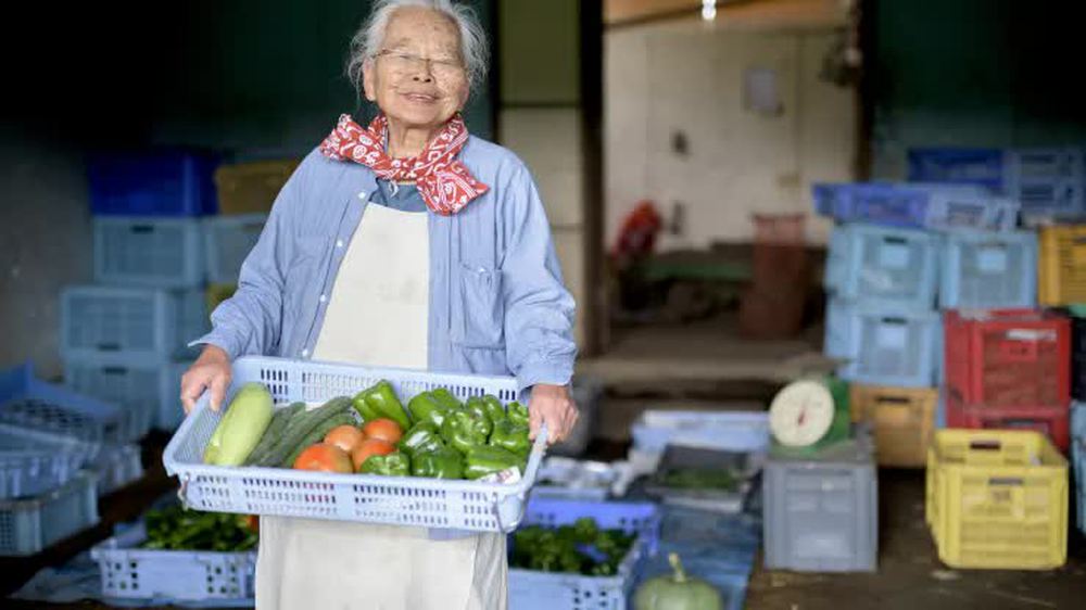 Làm gì để sống khỏe tới 100 tuổi? Học ngay bí quyết ăn uống mang lại sự trường thọ của người Nhật - Ảnh 1.