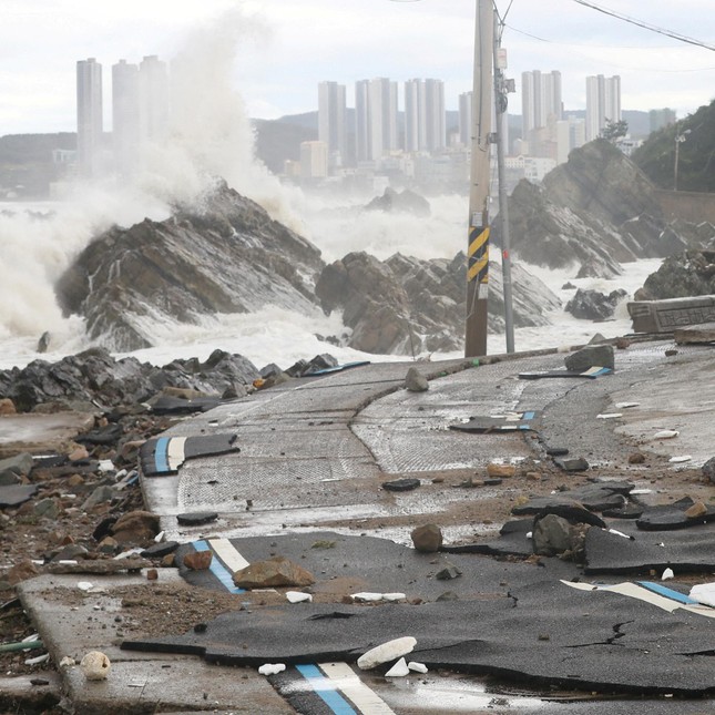 Hàn Quốc: 7 người chết thảm vì xuống hầm đậu xe đúng lúc mưa bão - Ảnh 9.