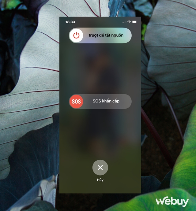 iCloud tr&ecirc;n thiết bị của bạn kh&ocirc;ng hoạt động? Đ&acirc;y l&agrave; c&aacute;c giải ph&aacute;p khắc phục d&agrave;nh cho bạn - Ảnh 2.