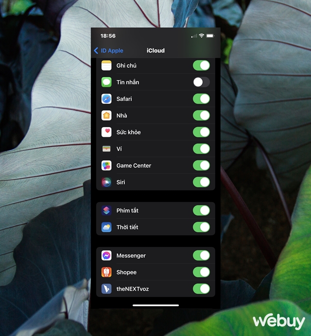 iCloud tr&ecirc;n thiết bị của bạn kh&ocirc;ng hoạt động? Đ&acirc;y l&agrave; c&aacute;c giải ph&aacute;p khắc phục d&agrave;nh cho bạn - Ảnh 5.
