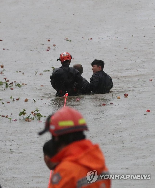 Hàn Quốc: 7 người chết thảm vì xuống hầm đậu xe đúng lúc mưa bão - Ảnh 4.