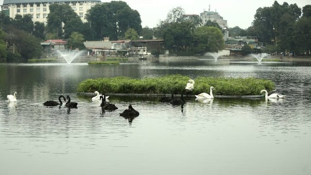 Hà Nội: Điểm đến thành phố hàng đầu châu Á về du lịch ngắn ngày - Ảnh 5.