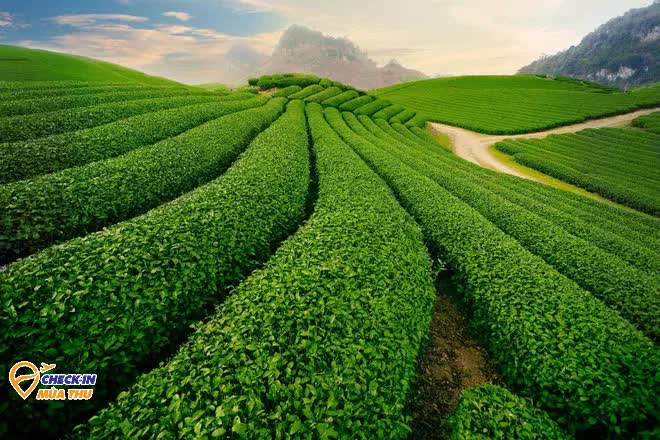 Địa điểm nh&igrave;n tựa m&agrave;n h&igrave;nh m&aacute;y t&iacute;nh, đang được d&acirc;n du lịch t&iacute;ch cực săn l&ugrave;ng, nằm ở đ&acirc;u? - Ảnh 8.