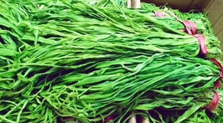 Công dụng của loại rau tiến vua giá nửa triệu/kg mà nhiều người vẫn đua nhau mua dịp Tết - Ảnh 3.