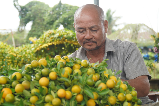 Cho rằng linh vật mèo không may mắn, làng kiểng thú khan hiếm hàng - Ảnh 2.