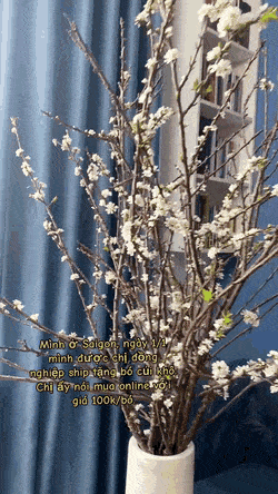 Hành trình hô biến “cành củi khô” nở hoa rực rỡ - Ảnh 11.