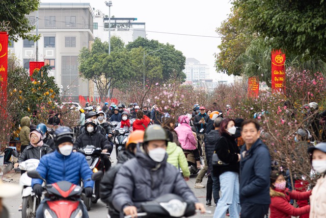 Chợ hoa Lạc Long Qu&acirc;n chật k&iacute;n người mua, b&aacute;n đ&agrave;o chiều 27 Tết - Ảnh 3.