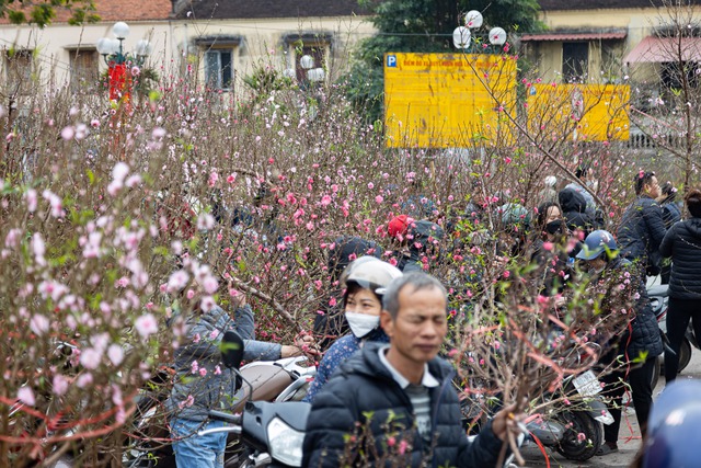 Chợ hoa Lạc Long Qu&acirc;n chật k&iacute;n người mua, b&aacute;n đ&agrave;o chiều 27 Tết - Ảnh 1.