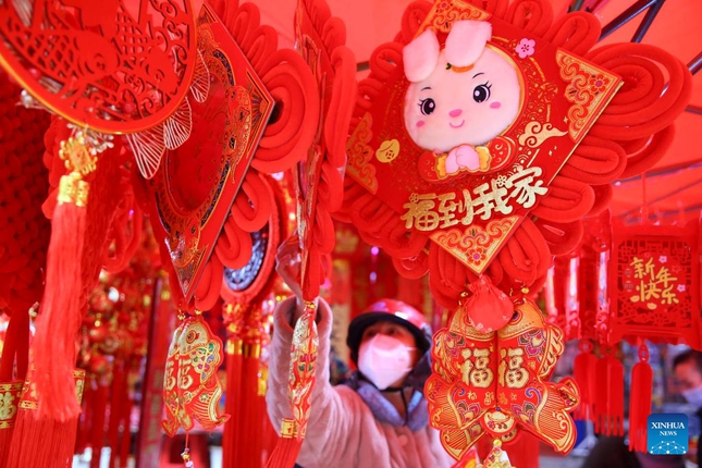 Cộng đồng người châu Á trên khắp thế giới đón Tết Nguyên đán - Ảnh 32. Cộng đồng người châu Á trên khắp thế giới đón Tết Nguyên đán - Ảnh 32.