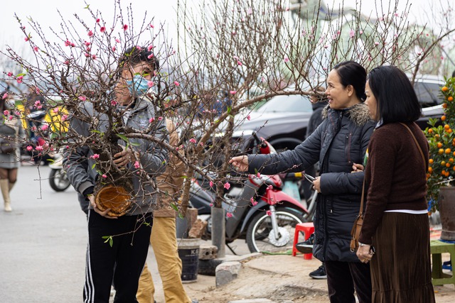 Chợ hoa Lạc Long Qu&acirc;n chật k&iacute;n người mua, b&aacute;n đ&agrave;o chiều 27 Tết - Ảnh 11.