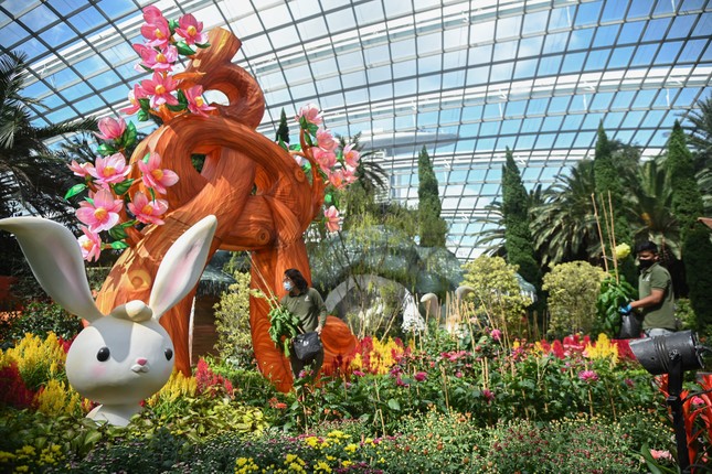 Cộng đồng người châu Á trên khắp thế giới đón Tết Nguyên đán - Ảnh 1. Cộng đồng người châu Á trên khắp thế giới đón Tết Nguyên đán - Ảnh 1.