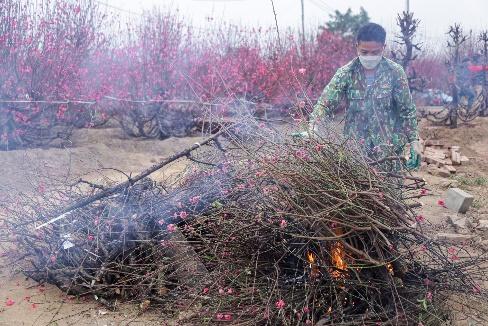 L&agrave;ng đ&agrave;o Nhật T&acirc;n nườm nượp người mua, kẻ b&aacute;n những ng&agrave;y gi&aacute;p Tết - Ảnh 10.