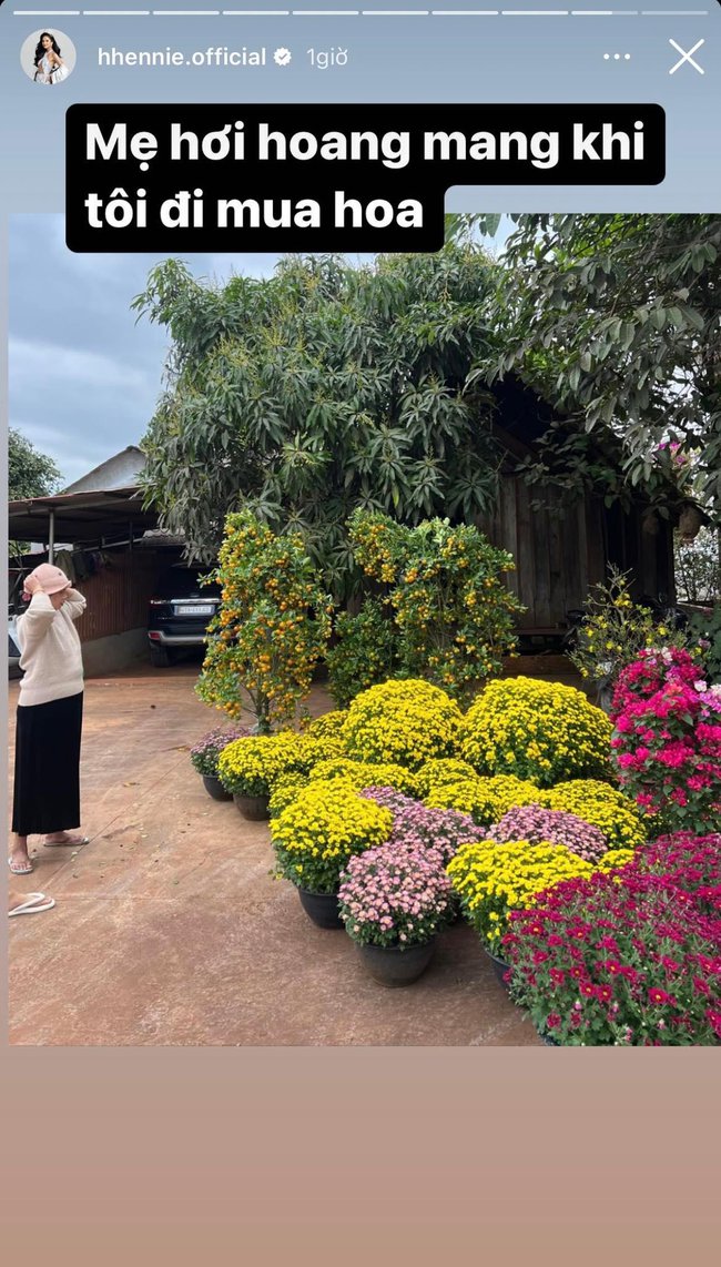 Tết nhà sao Việt: Á hậu Mâu Thuỷ tậu chậu mai cao 2 mét, vợ chồng Cường Đô La - Đàm Thu Trang chưng mai đào quất kín nhà - Ảnh 12.