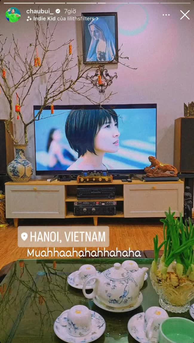 Tết nhà sao Việt: Á hậu Mâu Thuỷ tậu chậu mai cao 2 mét, vợ chồng Cường Đô La - Đàm Thu Trang chưng mai đào quất kín nhà - Ảnh 11.