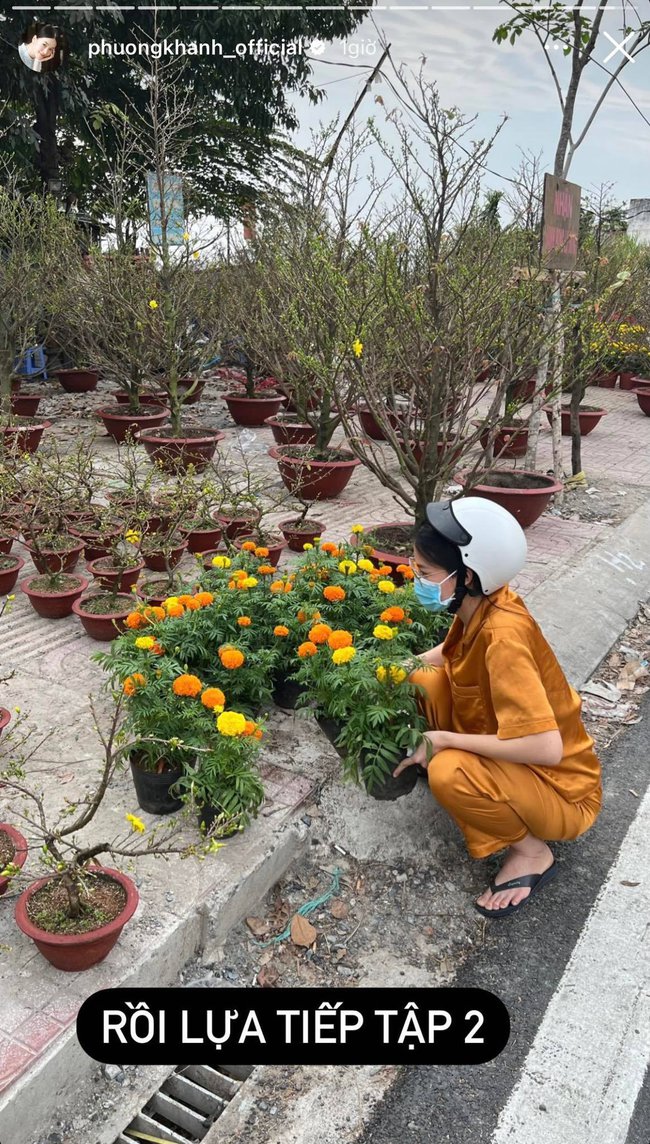 Tết nhà sao Việt: Á hậu Mâu Thuỷ tậu chậu mai cao 2 mét, vợ chồng Cường Đô La - Đàm Thu Trang chưng mai đào quất kín nhà - Ảnh 21.