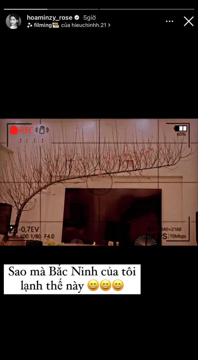 Tết nhà sao Việt: Á hậu Mâu Thuỷ tậu chậu mai cao 2 mét, vợ chồng Cường Đô La - Đàm Thu Trang chưng mai đào quất kín nhà - Ảnh 16.