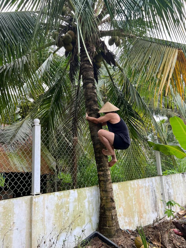 Dàn mỹ nhân bận bịu gói bánh Tết: Mỹ Tâm giản dị xinh đẹp, Bảo Thy gây trầm trồ với nhan sắc mẹ bỉm - Ảnh 7.