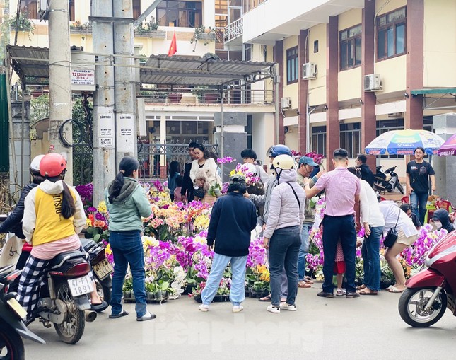 Người dân Đắk Lắk đổ xô mua hoa hạ giá chiều 30 Tết - Ảnh 3.