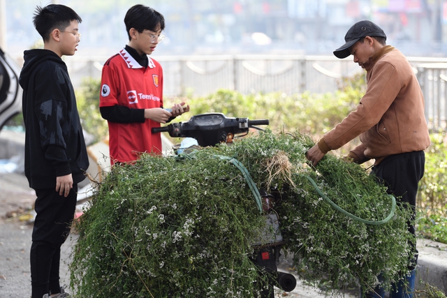 Dịch vụ vặt lông gà đông đúc ngày cuối cùng của năm 2022 - Ảnh 10.