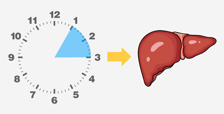 If you always wake up at these two times when you sleep at night, your liver may be crying for help - Photo 1.