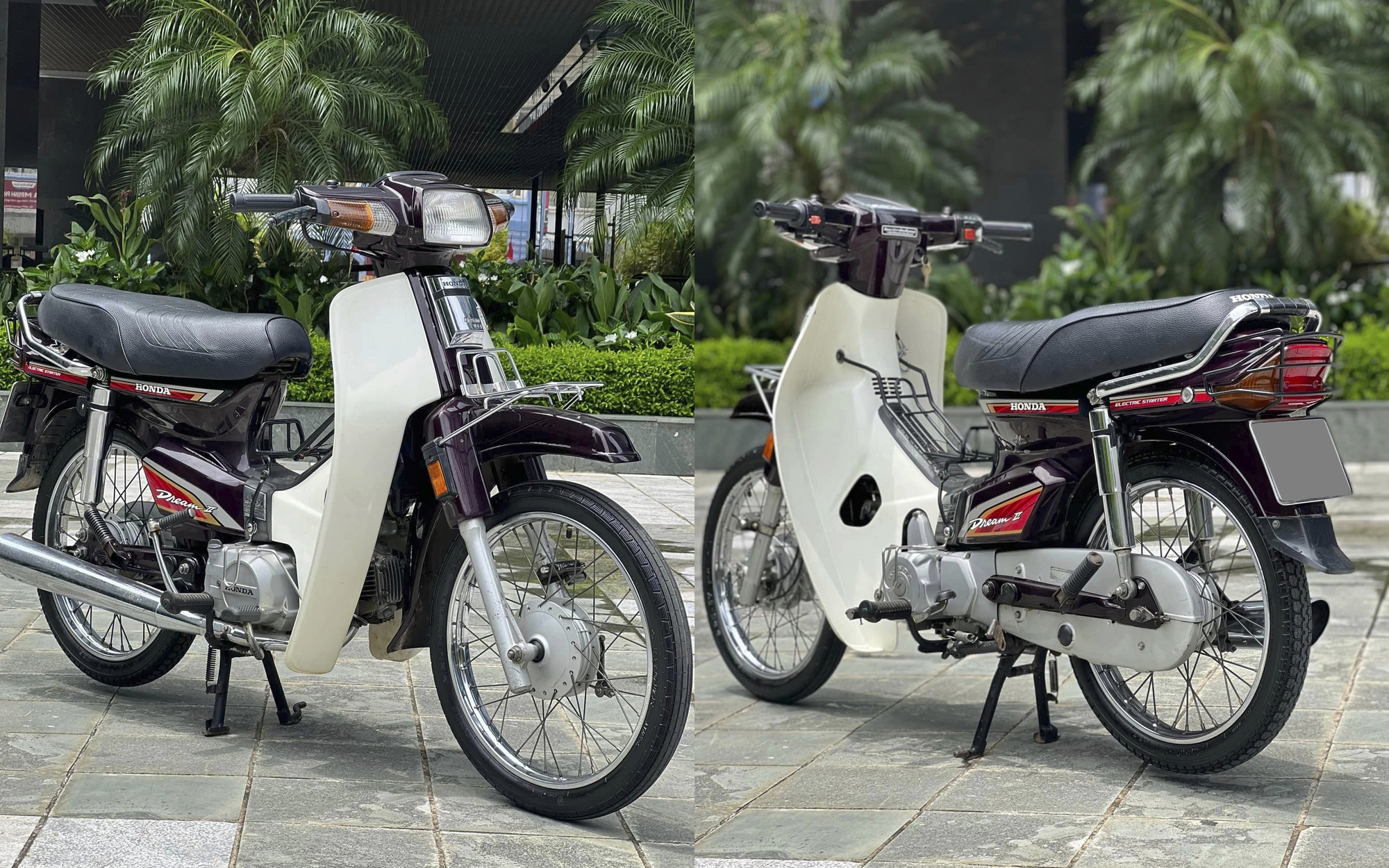 Honda Dream ThÁi, Tin Tức Mới Nhất Honda Dream Thái 21 Năm Tuổi được 