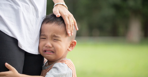 Thấy anh trai thường xuyên đánh em khi không có ai ở nhà, người mẹ tá hỏa khi biết nguyên nhân chính là do mình! - Ảnh 3.