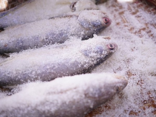 3 loại cá ít dinh dưỡng nhưng nhiều chất độc mà có thể bạn đang ăn chúng mỗi ngày - Ảnh 2.