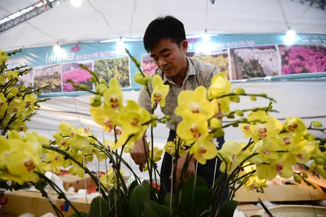 Choáng váng với chậu lan hồ điệp giá hơn 1,6 tỷ ở Hà Nội: Cao 7 mét, làm từ hàng nghìn cành lan - Ảnh 10.