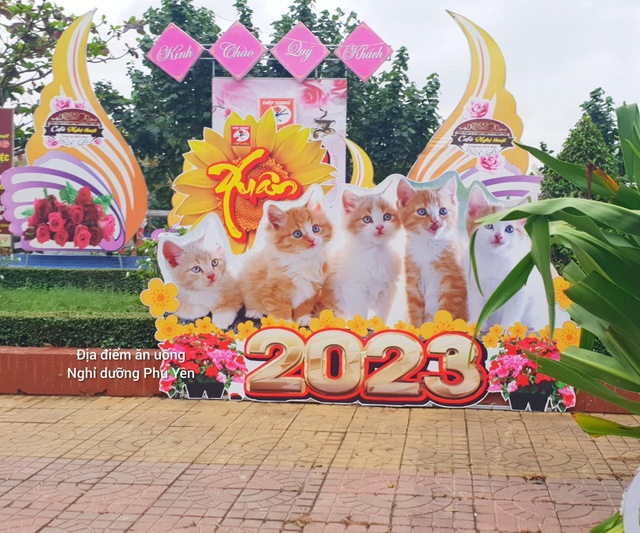 Dàn linh vật mèo mừng Tết Quý Mão 2023 khắp nơi tại Việt Nam cùng rủ nhau đọ độ dễ thương khiến dân mạng cười xỉu - Ảnh 7.