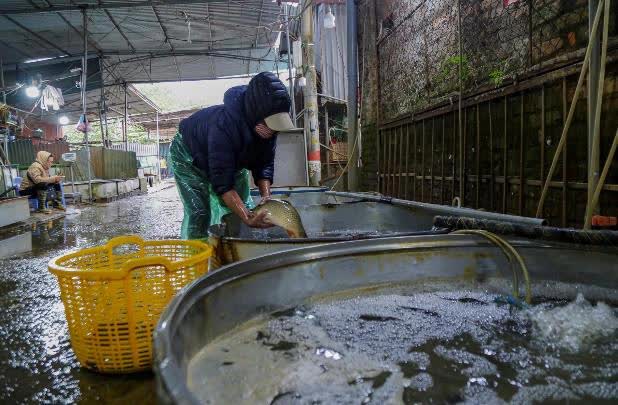 Hà Nội: Người lao động tay trần bắt cá, khiêng đá giữa cái lạnh cắt da, cắt thịt - Ảnh 3.