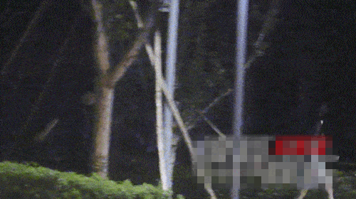 &ldquo;Nam thần s&aacute;t g&aacute;i nhất Cbiz&rdquo; L&acirc;m Canh T&acirc;n lộ clip hẹn h&ograve; ch&acirc;n d&agrave;i k&eacute;m 11 tuổi, ga lăng hết nấc với đ&agrave;ng g&aacute;i - Ảnh 4.