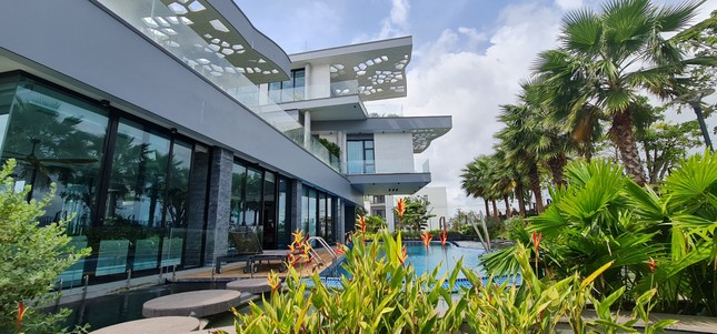 Biệt thự chuồn chuồn kết hợp bể bơi vô cực và hồ cá Koi - Ảnh 3.