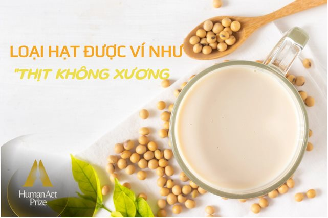 Một loại hạt giàu dinh dưỡng được ví như “thịt không xương”: Ở Việt Nam có một thương hiệu quốc gia, nỗ lực hơn 1 thập kỷ để phát triển bền vững vùng nguyên liệu - Ảnh 1.