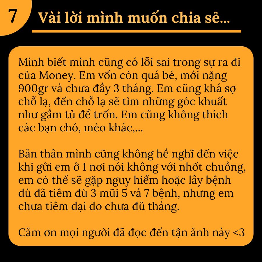 Cô gái bức xúc tố nơi trông giữ làm chết cún khi mới gửi 1 ngày, chủ cơ sở nói gì? - Ảnh 1.