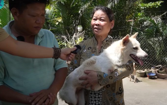 Cứu chú cún kỳ lạ bị bỏ rơi ven đường, 2 năm sau vợ chồng chạy xe ôm bỗng đổi đời - Ảnh 7.