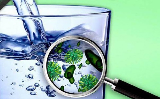 Sử dụng nguồn nước nhiễm vi khuẩn E.coli nguy hiểm như thế nào? - Ảnh 3.