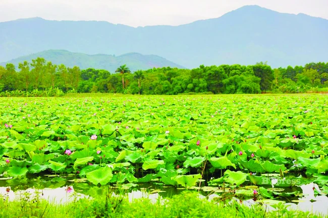 Đi chơi xả láng lại còn gặp toàn sao VBiz cuối tuần này tại Hòa Lạc với chỉ 100 nghìn đồng - Ảnh 8.