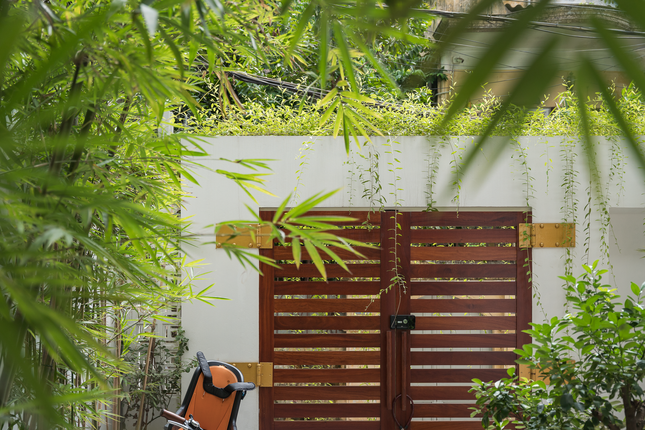 Cải tạo nh&agrave; ống th&agrave;nh nh&agrave; phố trồng c&uacute;c tần trước cổng d&agrave;nh cho 4 thế hệ - Ảnh 3.